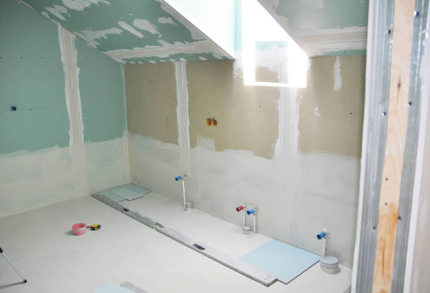 Best Attic Mold Removal  in Blacksburg, SC