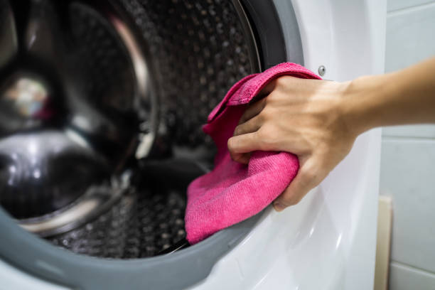 Blacksburg, SC Mold Removal Company