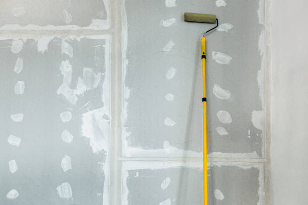 Best Mold Documentation for Insurance Claims  in Blacksburg, SC