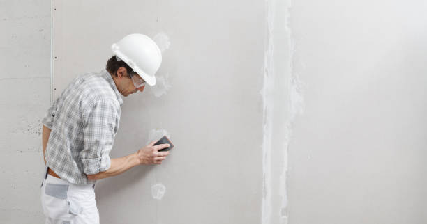 Best HVAC Mold Inspection and Cleaning  in Blacksburg, SC