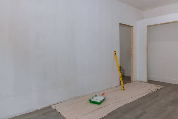 Biohazard Mold Removal in Blacksburg, SC