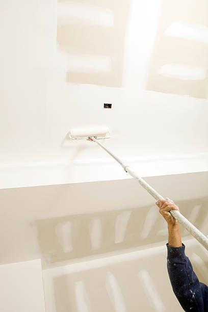  Blacksburg, SC Mold Removal Pros