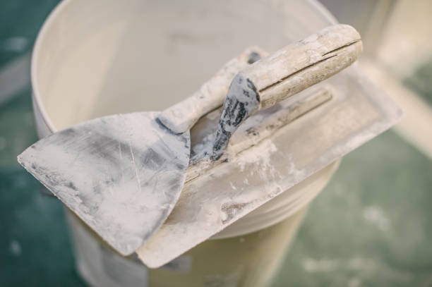 Best Mold Damage Restoration  in Blacksburg, SC